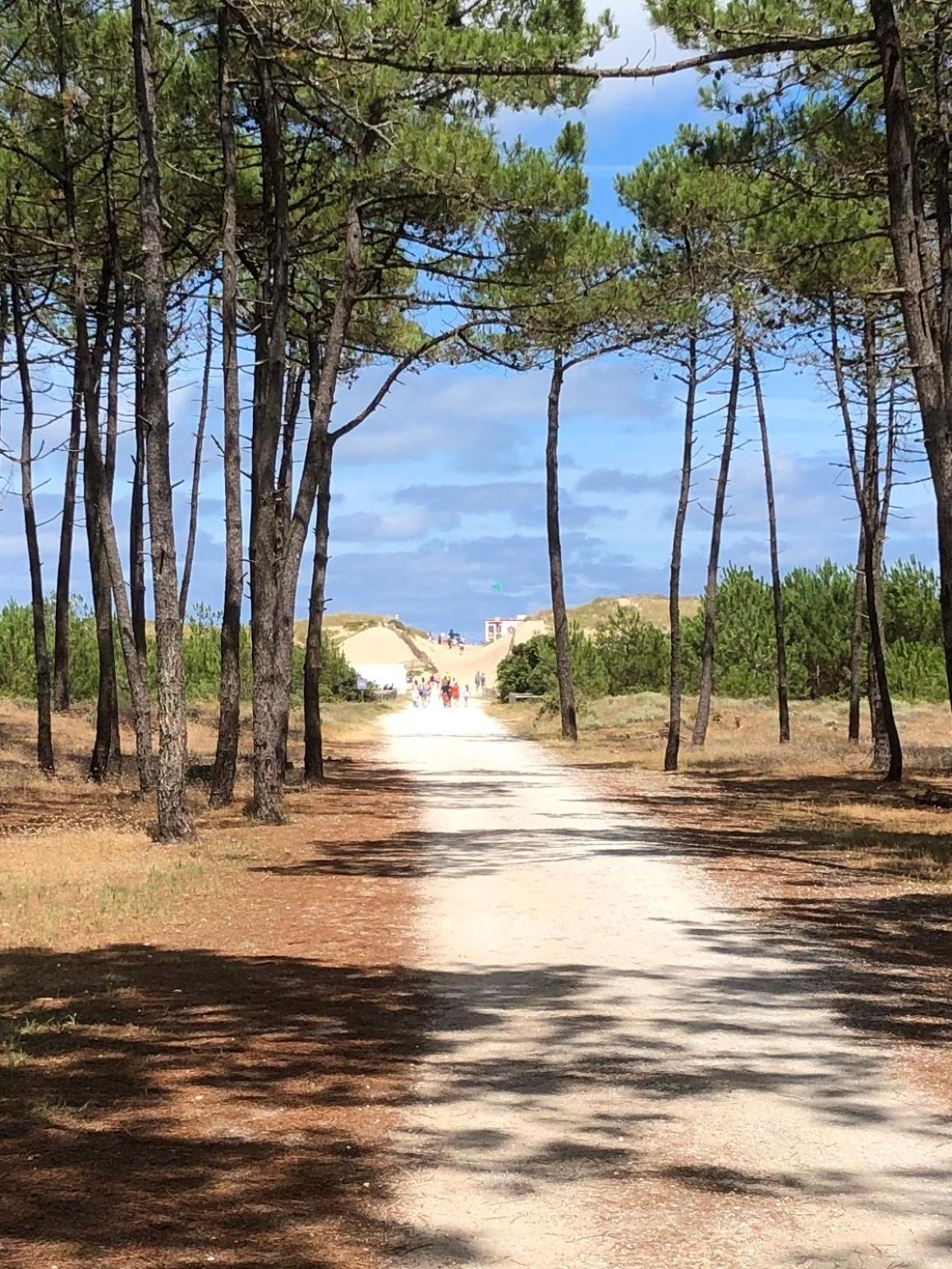 Villa Almigeda à Les Mathes Extérieur photo