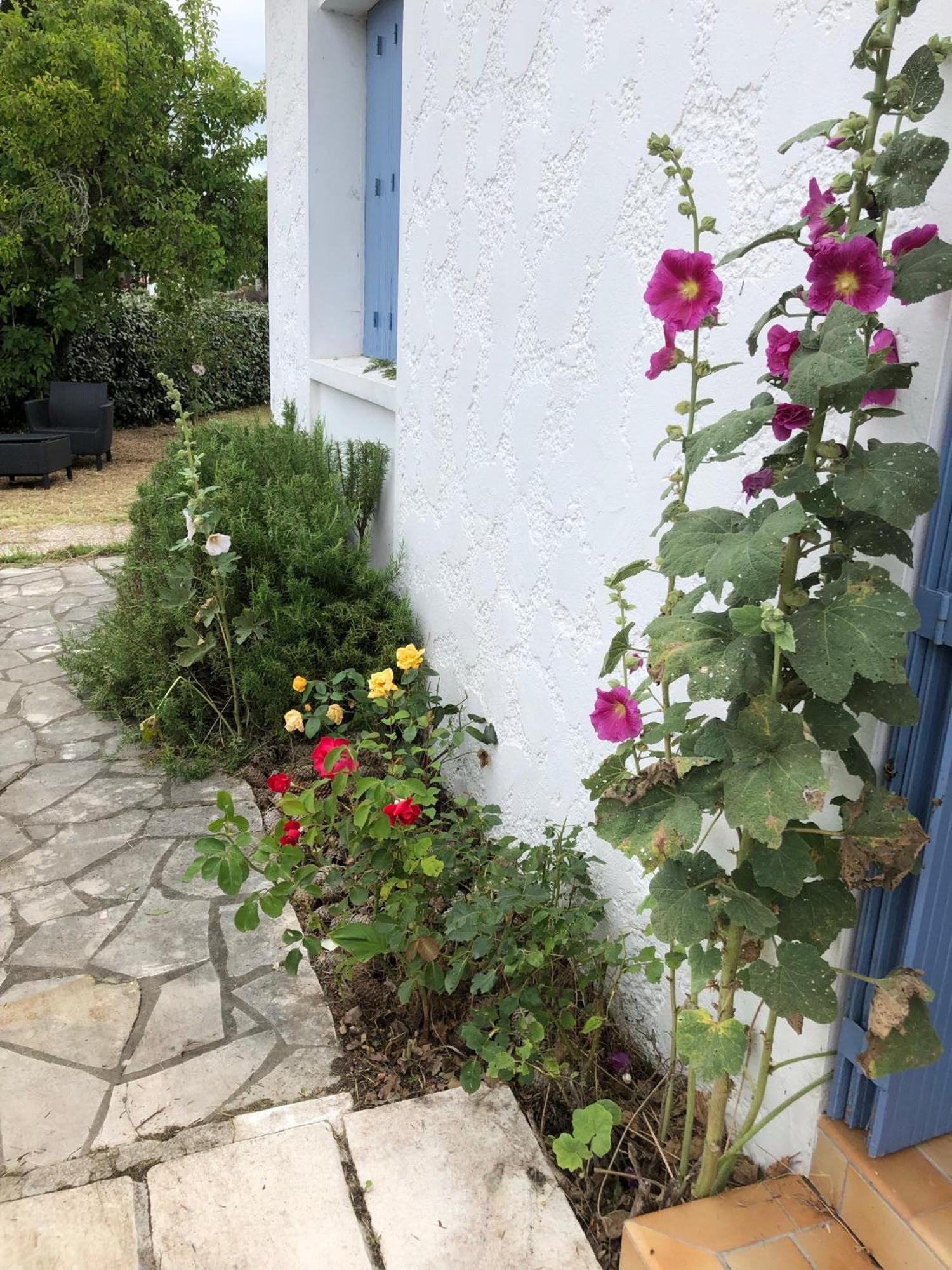 Villa Almigeda à Les Mathes Extérieur photo